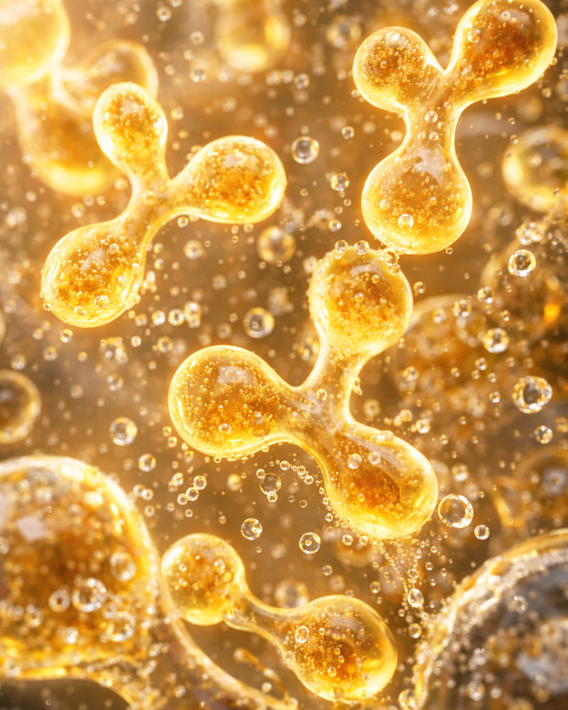 Bifida Ferment Lysate